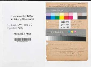 Entnazifizierung Franz Metzner, geb. 26.05.1895 (Arzt)