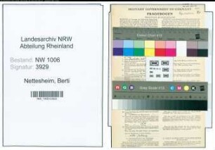 Entnazifizierung Berti Nettesheim , geb. 09.04.1900 ()