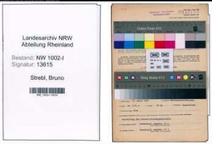 Entnazifizierung Bruno Strebl, geb. 23.04.1900 (Sachbearbeiter)