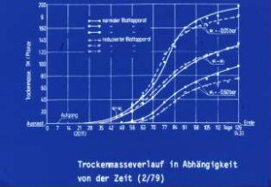Trockenmasseverlauf in Abhägigkeit von der Zeit (2/79)
