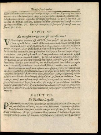 Caput VIII. De Practica Lapidis.