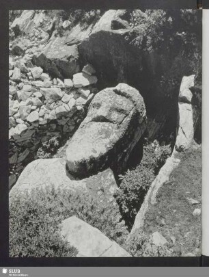 Naxos. In einem antiken Steinbruch im äußersten Norden der Insel - Der Dionysos von Ston Apollona