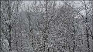 Winter #01