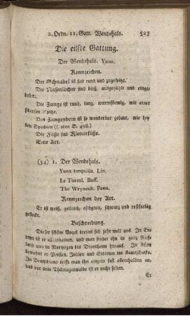 Die eilfte Gattung. Der Wendehals.