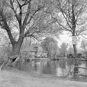 Mühlenteich: vorn Zaun: rechts und links Bäume: rechts Hinweisschild: hinten Mitte zwischen Bäumen Mühle: davor Lkw mit Anhänger: hinten rechts Schuppen