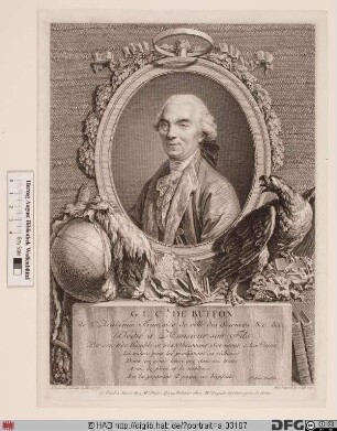 Bildnis Georges-Louis Leclerc de Buffon (1773 comte)