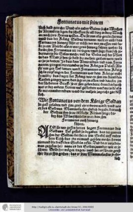 Wie Fortunatus von dem Koenige Soldan zu gast geladen vnd ihm groß ehr erboten ward vnnd wie er des Soldans Mammalucken ehrlich begabt, darnach der Soldan ihm seine koestliche Kleinat zeigt, dabey das Wuenschhuetlin war, das ihm Fortunatus auch hinweg fuehret. (Bl. 45 verso - 47 verso)