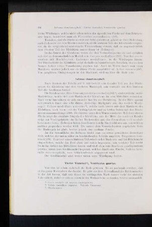 Vierter Ventrikel, Venticulus quartus.