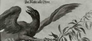 Der Meister aller Thiere