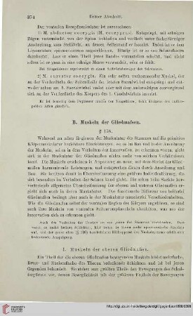 B. Muskeln der Gliedmaßen