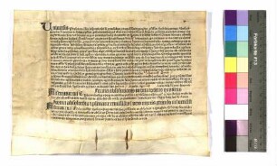 Ablassbrief des Archidiakons Reymund Perandi für Johann Dyror von Anhausen