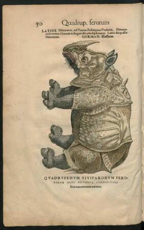 Quadrupedum Vivparorum Ferororum Ordo Secundus ...