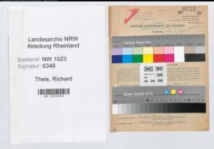 Entnazifizierung Richard Theis , geb. 30.09.1898 (Konrektor)