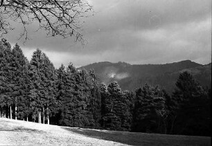 Herbstlicher Wald bei Horben