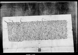 Der Hofrichter zu Rottweil beurkundet das Urteil, daß Konrad Böschlin der Schreiber von Oberbergen die Güter des Aechters Brun Wernher von Hornberg, nämlich zu Hornberg Burg und Stadt, in den Tälern Schwanenbach, Gutach und Steinenbach und den Höfen zu Rotenbach, die er in nützlicher Gewere besessen hat, wohl angreifen mag. .