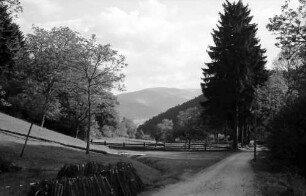 Attental: Landschaft Attental Richtung Schauinsland