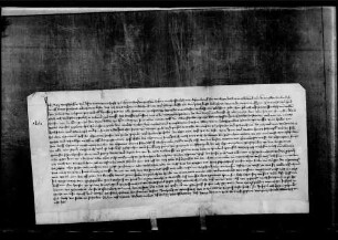 Ann Marschälkin, wohnhaft zu Herrenberg, verkauft an Hans Schultheiß von Tailfingen, Keller zu Herrenberg, den Kernenhof zu Oberöschelbronn um 50 fl.