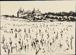 Blick auf Schloß Moritzburg