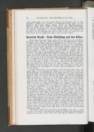 Vom Störfang auf der Eider.