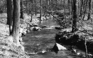 Klipphausen-Lampersdorf. Kleine Triebisch zwischen Lampersdorf und Taubenheim