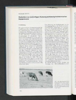 Gedanken zur zukünftigen Nutzung schleswig-holsteinischer Niedermoore