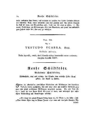Tab. III. Fig. I. Testudo Scabra : Rauhe Schildkröte