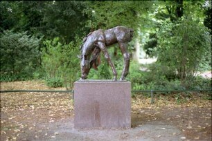 Großes grasendes Fohlen