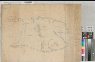 Küstelberg (Medebach) Glindfeld (Medebach) königlicher Privatwalddistrikt (Schutzbezirk Küstelberg und Glindfeld) Blatt 2 Schloßberg ca 1820-1830 ca 1 : 1250 54 x 73 Zeichnung KSA Nr. 584b