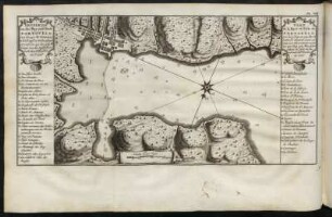 Pl. VIII.