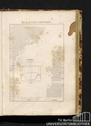 Pl. 13. Détails de l'Ordre Corinthien.