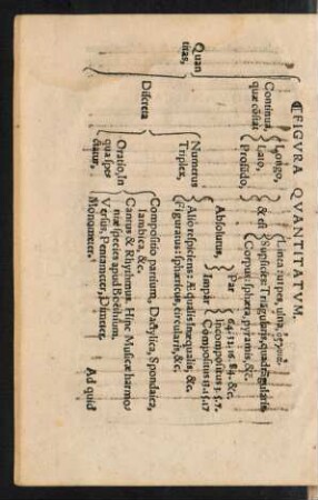 Figura Quantitatum.