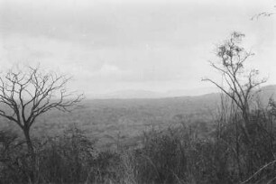 Mtungo : Blick in eine Savannenlandschaft