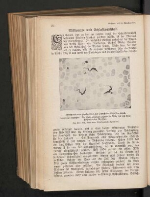 Missionare und Schlafkrankheit