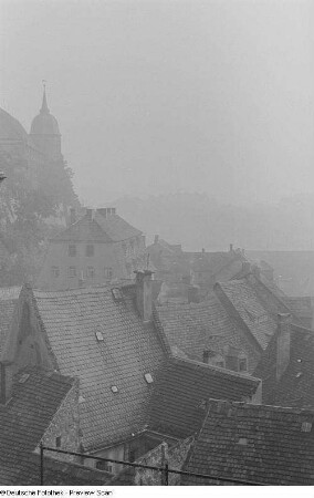 Blick über Häuserdächer zur Albrechtsburg