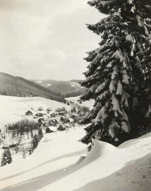 Erzgebirge. Eibenstock-Wildenthal. Blick nach Oberwildenthal. Winterbild