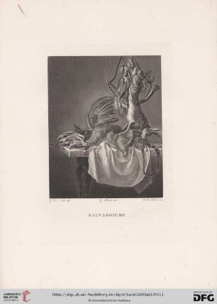 Selvaggiume di Guglielmo Van-Aelst
