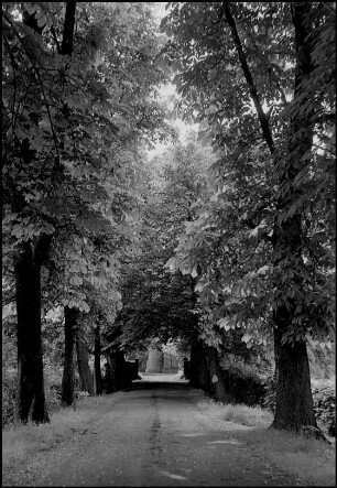 Marienwerder, Kastanienallee