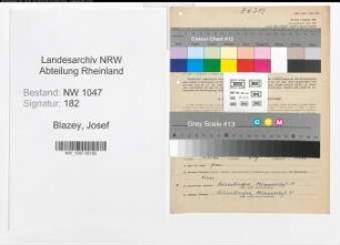 Entnazifizierung Josef Blazey , geb. 28.04.1897 (Angestellter)