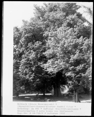 Klostergarten