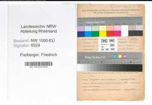 Entnazifizierung Friedrich Freiberger, geb. 30.05.1891 (Werkmeister)