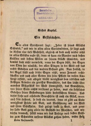Kleine Versäumnisse : Eine Erzählung für meine jungen Freunde. Von Franz Hoffmann. Mit 4 Stahlstichen