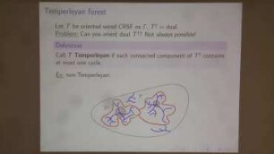 The dimer model on Riemann surfaces