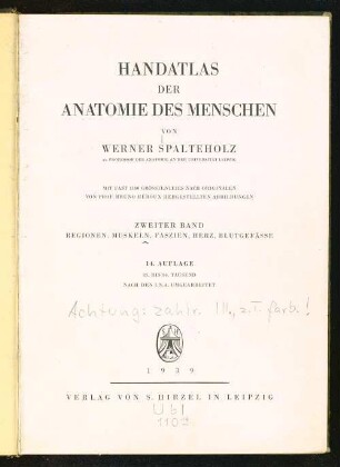 2: Regionen, Muskeln, Faszien, Herz, Blutgefässe