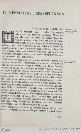 IV. Menschen/Tiere/Pflanzen