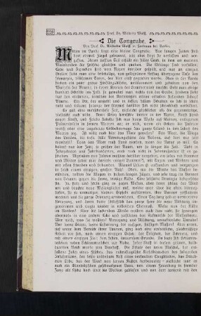 Die Tongrube