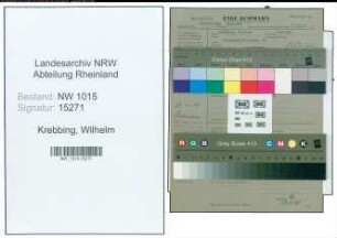 Entnazifizierung Wilhelm Krebbing , geb. 17.04.1896 (Arbeitsamt)