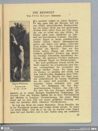 Die Reinheit. Von Fritz Kaiser