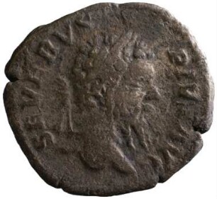 Münze, Denar, 202 - 210