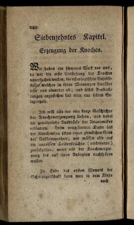 Siebenzehntes Kapitel. Erzeugung der Knochen.
