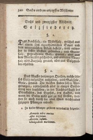 Sechs und zwanzigster Abschnitt. Salzsiederey.